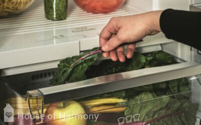 NEFF Fridges and Freezers