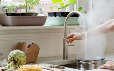 The Quooker Tap That Does It ALL
