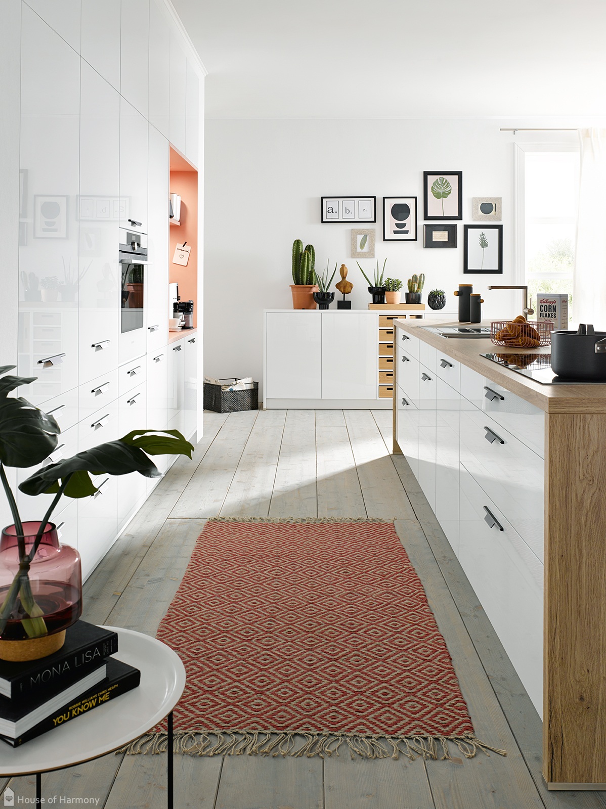 Exceptional kitchen designs at House of Harmony