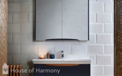 Bathrooms capturing the Industrial Vibe