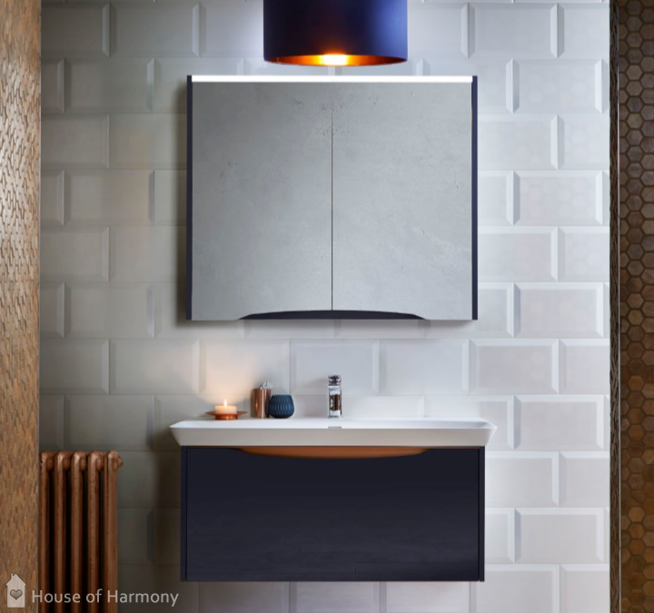 Bathrooms capturing the Industrial Vibe